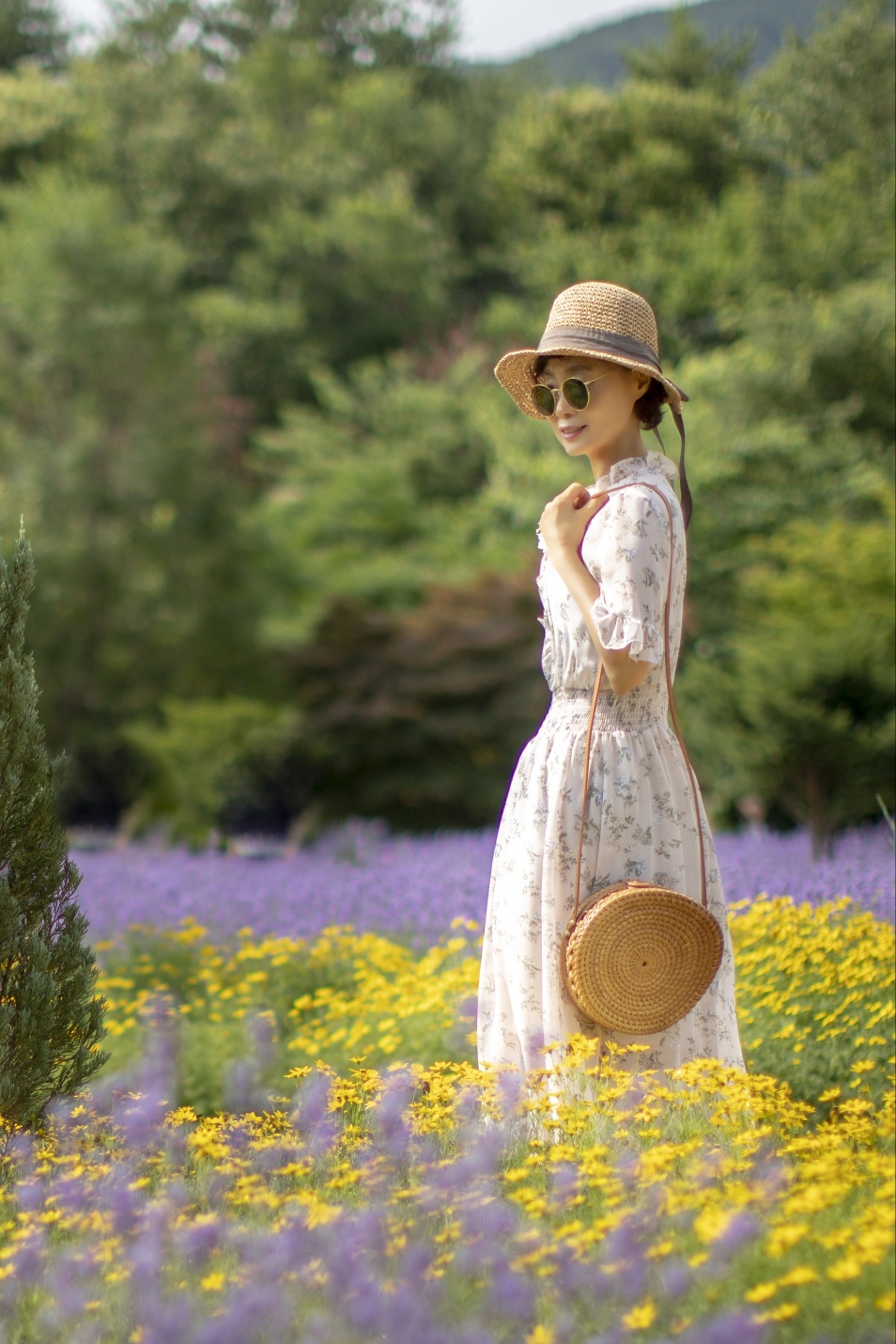 라벤더 속으로 여행