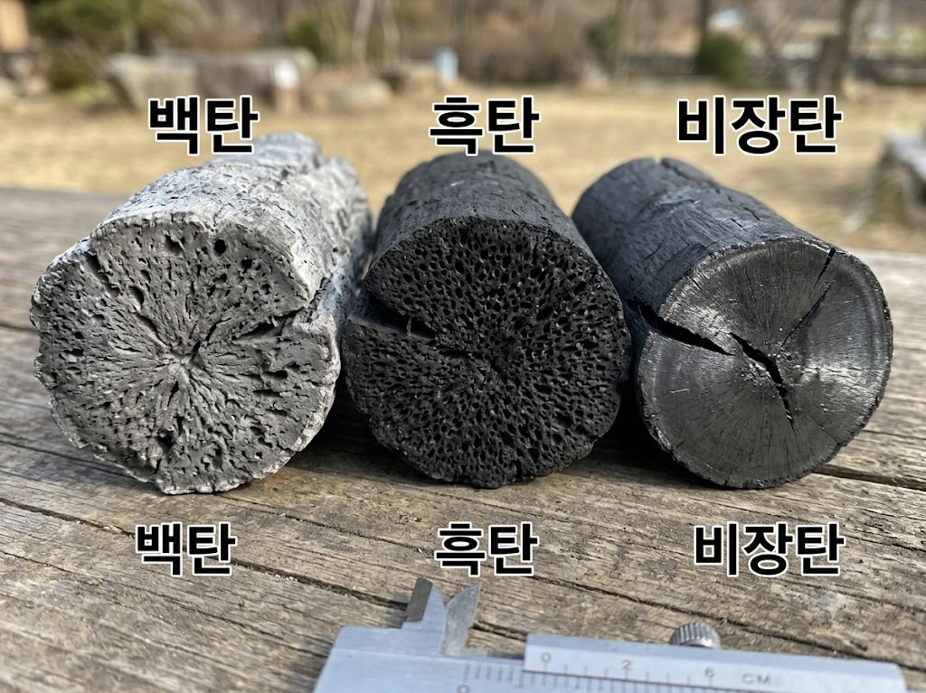 백탄과 흑탄, 비장탄을 쪼개어 단면의 기공 밀도와 파단면 광택을 비교한 실물 사진
