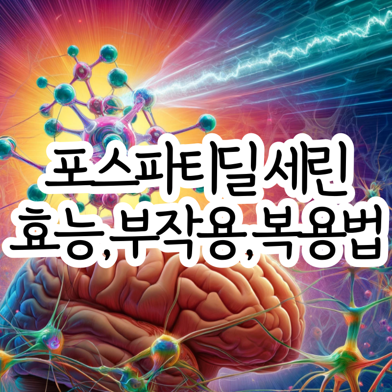 포스파티딜 세린 분말 가루 효능 부작용