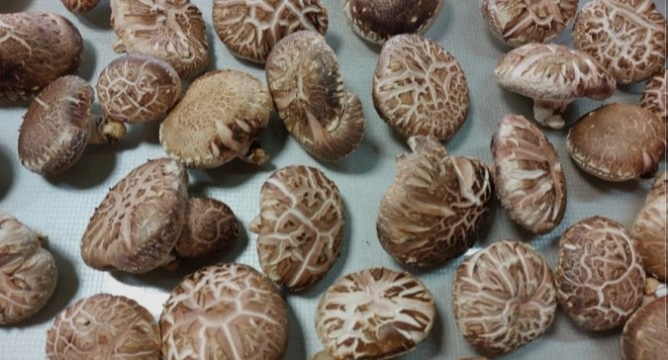 고지혈증에-좋은-음식