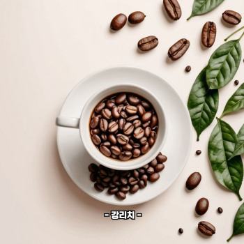 멜라토닌과 카페인