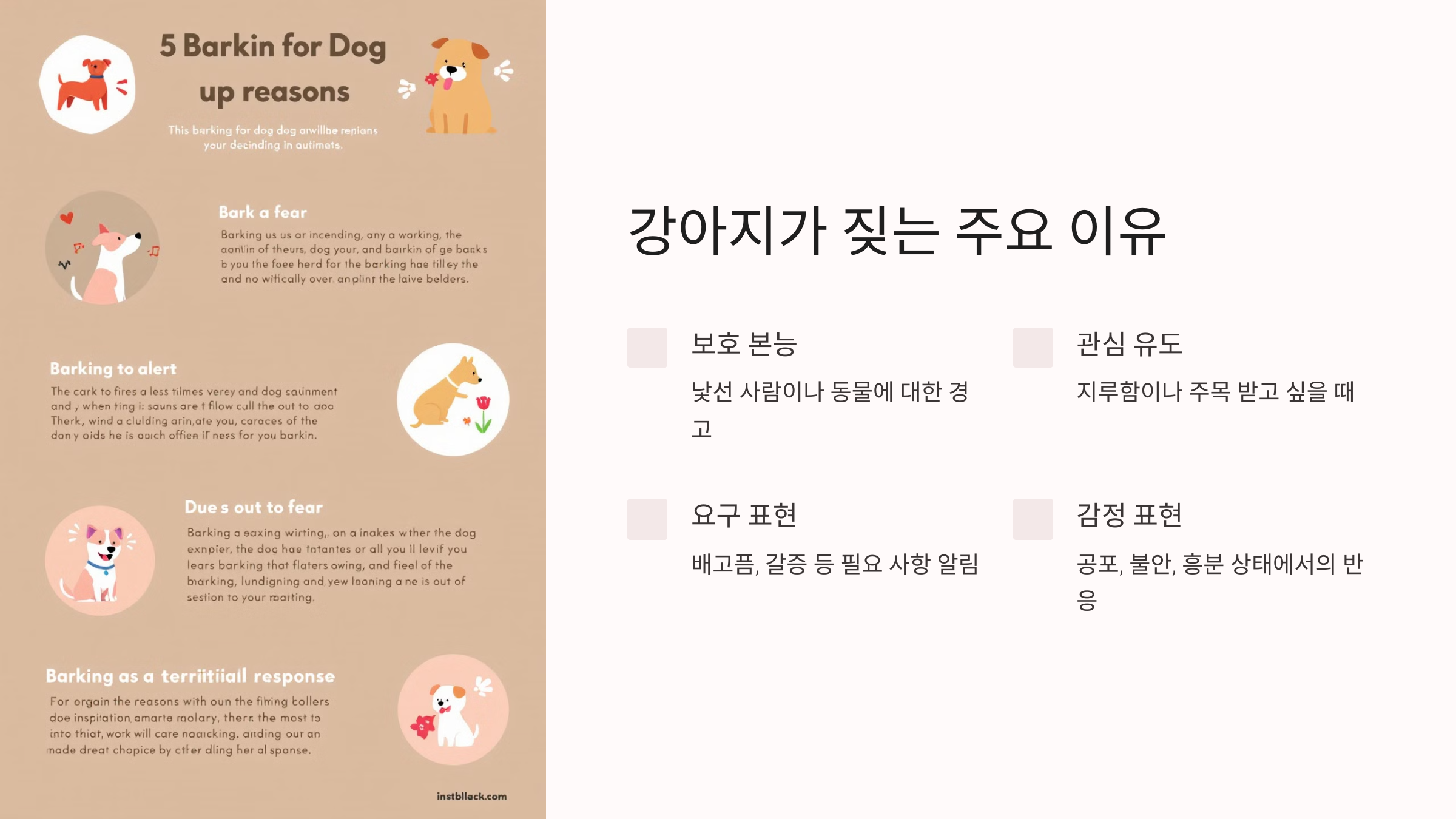 강아지가 짖는 주요 이유