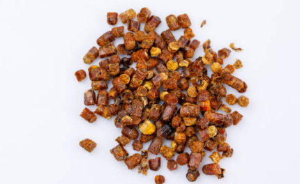 프로폴리스 효능, 부작용, 복용법 총정리 (2024ver)