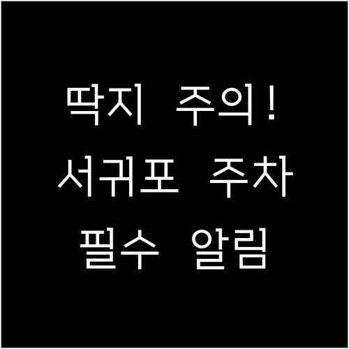 서귀포시 불법 주정차 단속 알림 서비..