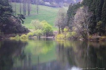 봄꽃 여행 성지 충남 서산 명소 BEST5_14