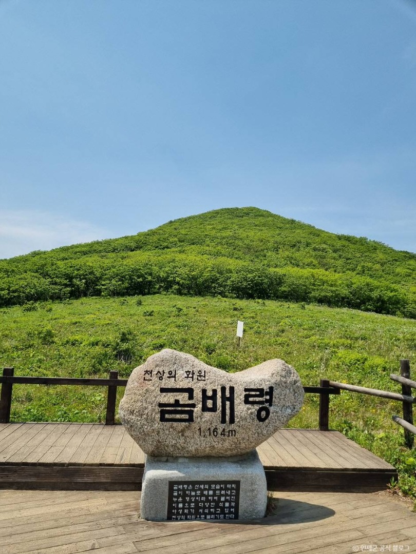 점봉산 곰배령 정상