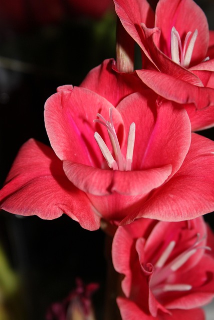 코피 멈추는 법 BEST5 &ndash; 빠르고 효과적인 대처법