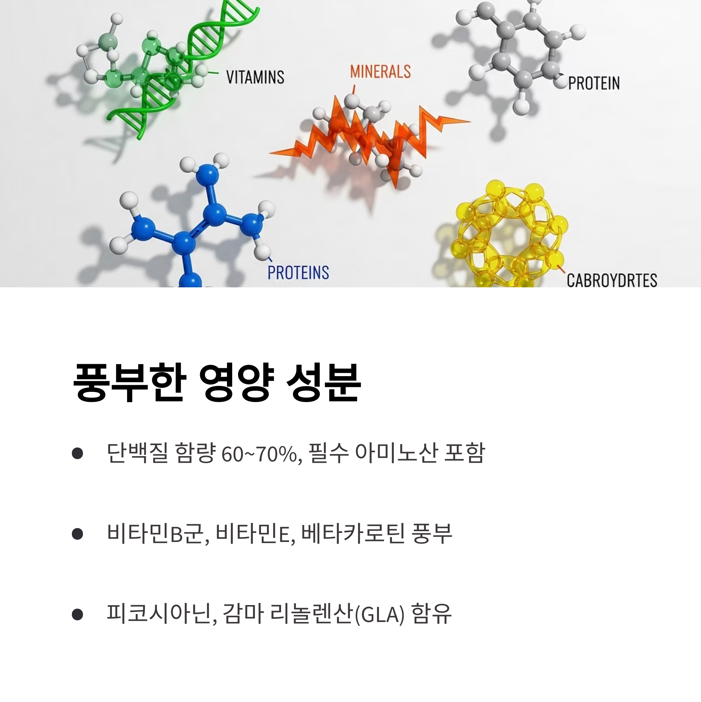 풍부한 영양 성분