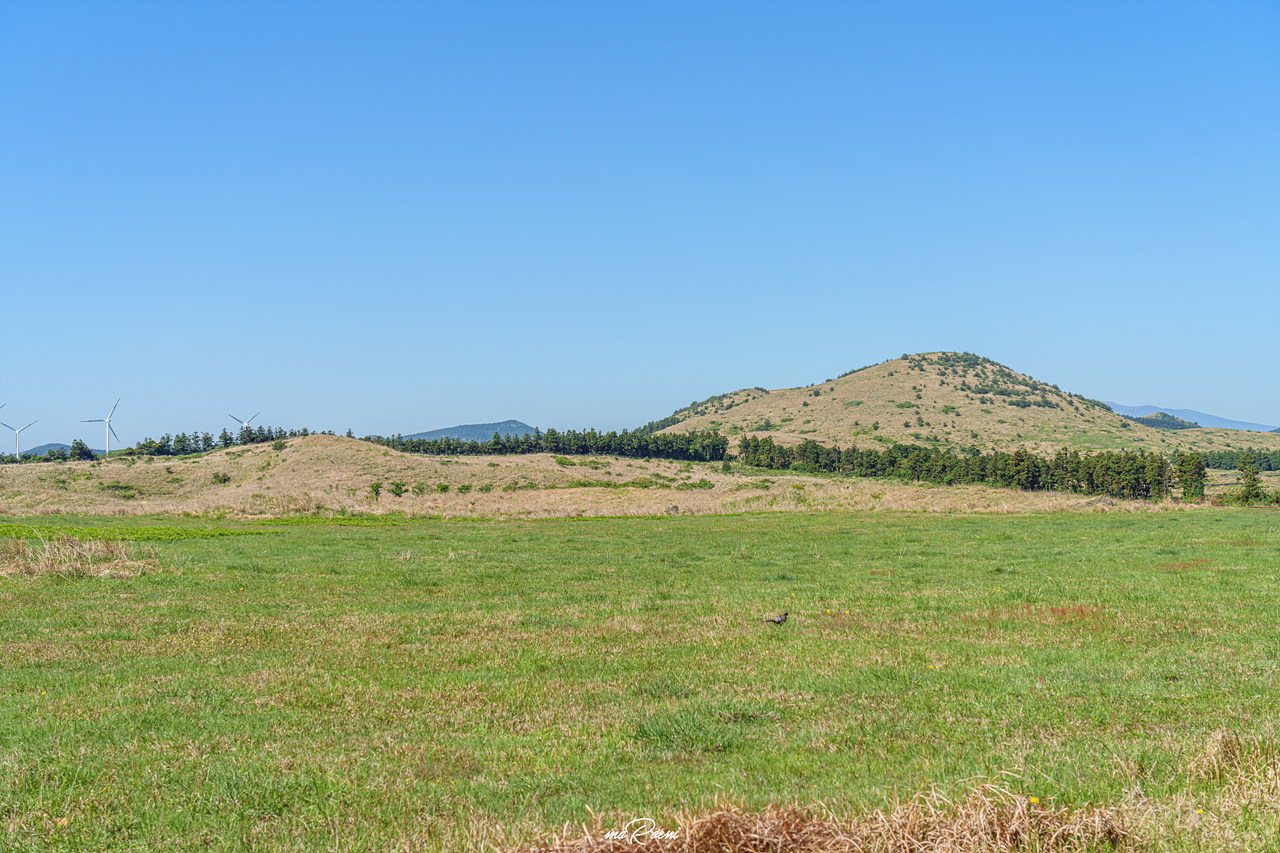 제주 레일바이크