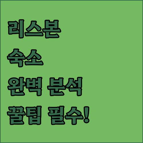 포르투갈 리스본 호텔 아파트먼트 지역..