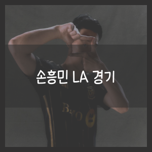 손흥민 LA 경기