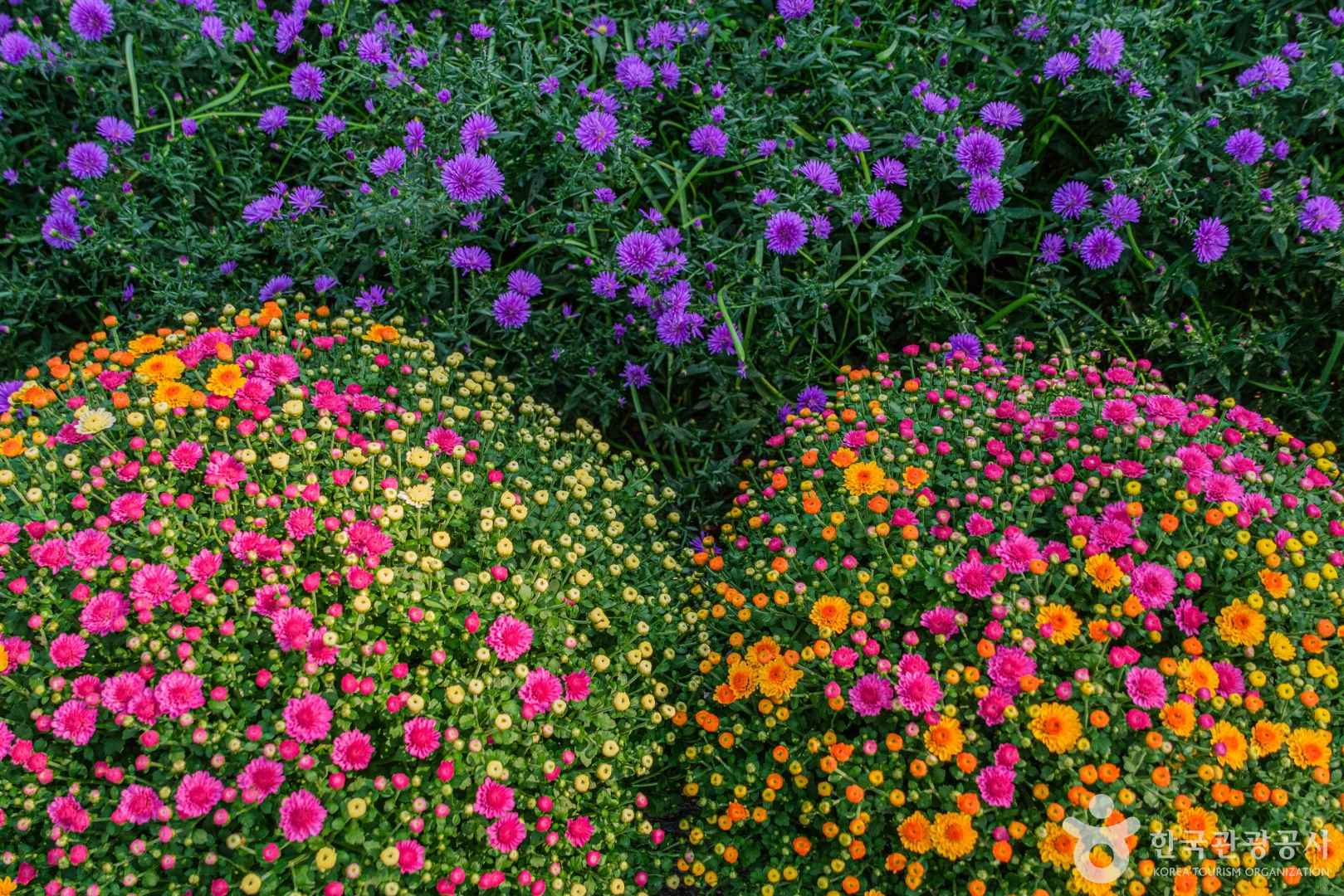 피나클랜드수목원