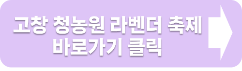 고창 청농원 라벤더 축제