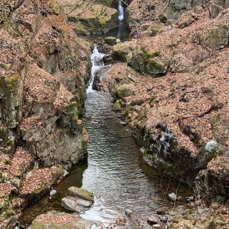 국립백운산자연휴양림