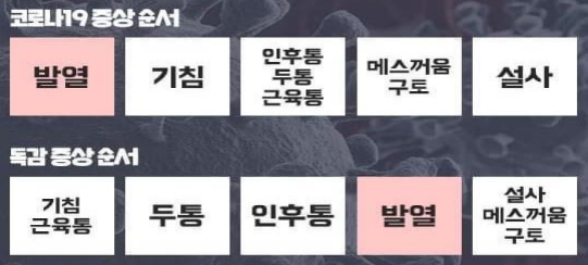 코로나 증상 순서(독감과의 비교)