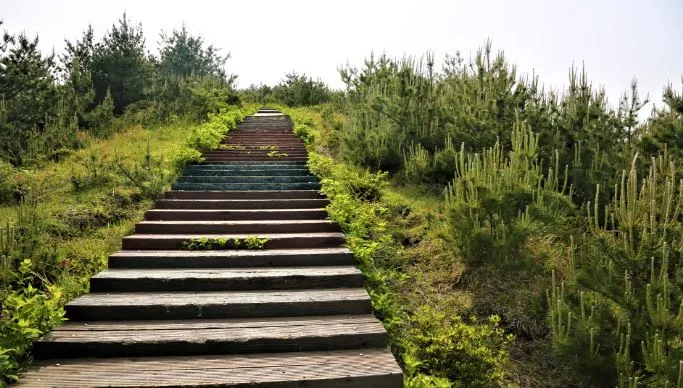 제주도-겨울-여행-코스-추천-영주산-계단과-풀들