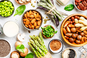 성인 ADHD 증상 원인 치료 예방