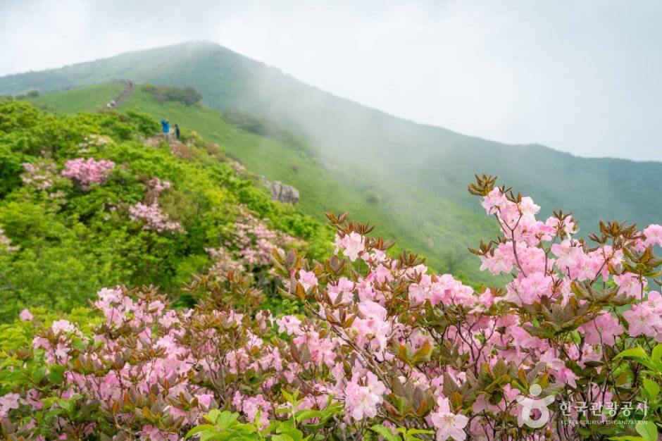 3월 산행지 추천 BEST 7