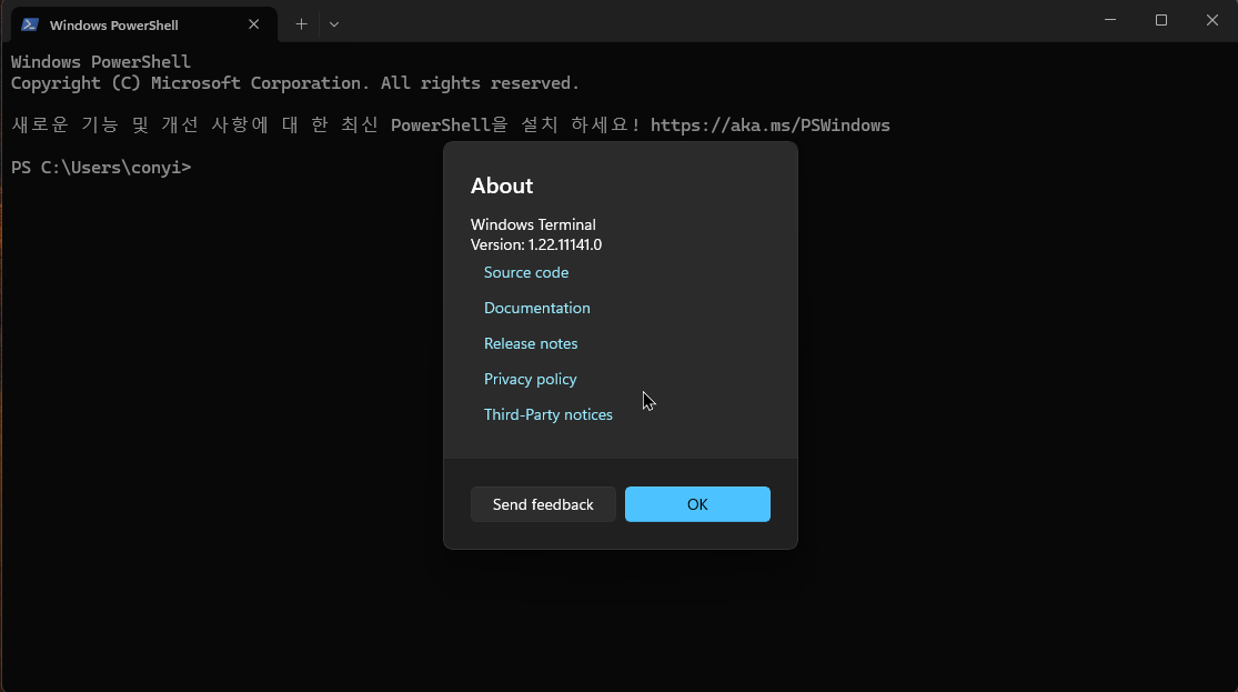 윈도우 터미널, 파워쉘, 명령 프롬프트: 대체 뭘 써야 할까? 캡처 33