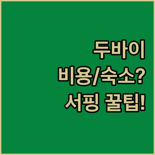 두바이 카이트 비치 초보자 카이트 서..