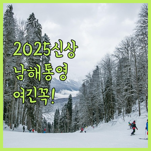 2025년 신규 오픈 쏠비치부터 아난..