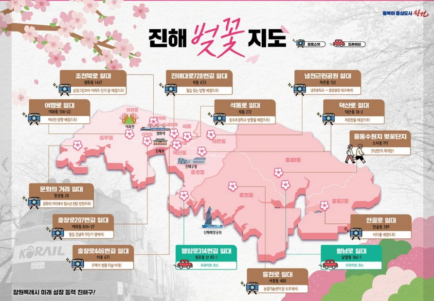 진해 벚꽃 개화 시기(+ 실시간 CCTV 확인 방법) 2025