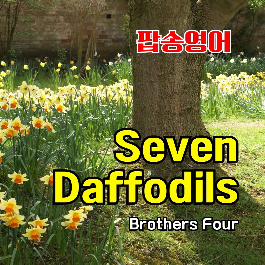 팝송 Seven Daffodils 가사 해석 발음 원리 총정리