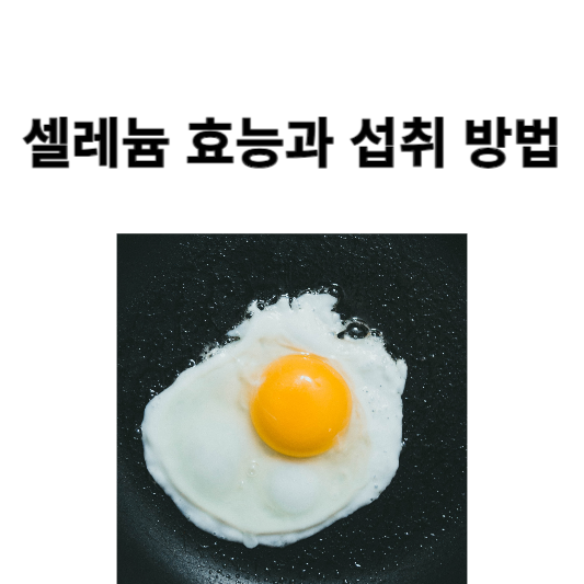 셀레늄 효능과 섭취 방법