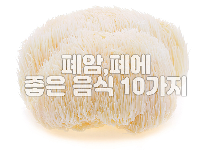 노루궁뎅이 버섯 이미지