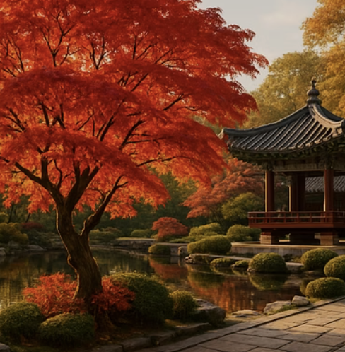 붉나무 키우기 A to Z