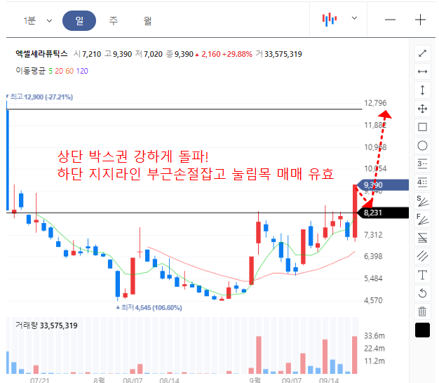 엑셀세라퓨틱스 일봉차트