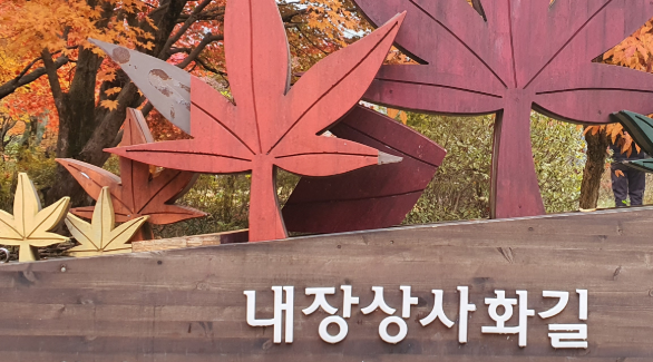 내장산 상사화길 단풍 이미지