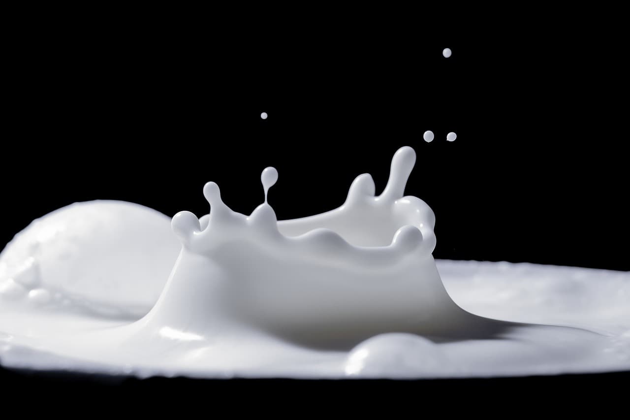 장내 미생물과 우유 불내증(Lactose Intolerance): 유당을 소화하는 유익균의 역할