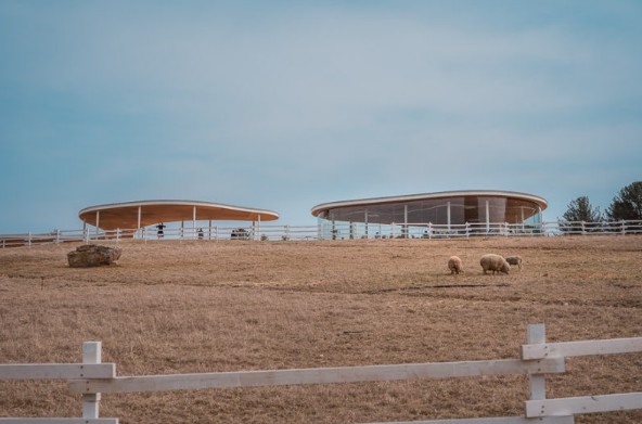 12월 여행지 추천 아이들과 가기 좋은곳 가평 양떼목장