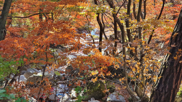 연인산 명품 계곡길 – 가평의 대표 가을 단풍 트레킹 코스