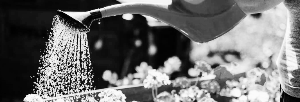 일반적으로 아침 시간