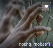 금고형이란