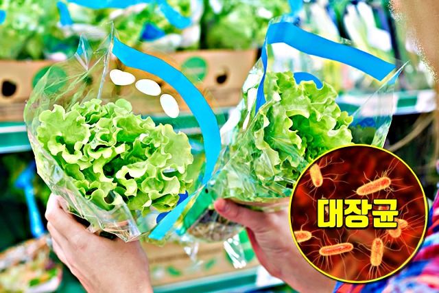 씻어나온 채소 유통기한 지나면, 먹으면 안되는 음식,건강 팁줌 매일꿀정보