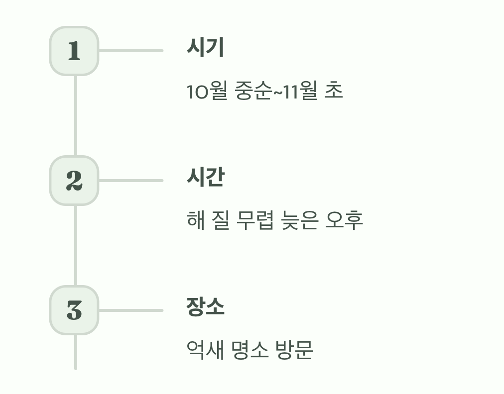 이제 당신의 완벽한 가을 나들이 차례