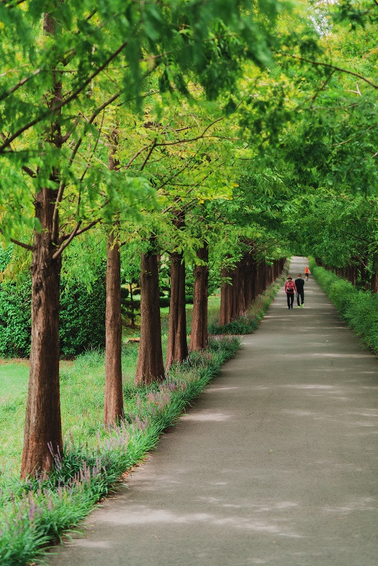 남파랑길 1코스
