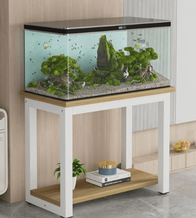 구피를 잘 키우기 위한 최적의 사육환경