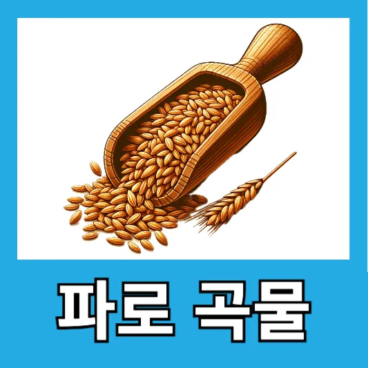 직장인 다이어트 지중해 곡물 저장 곡물 파로곡물 효능 부작용