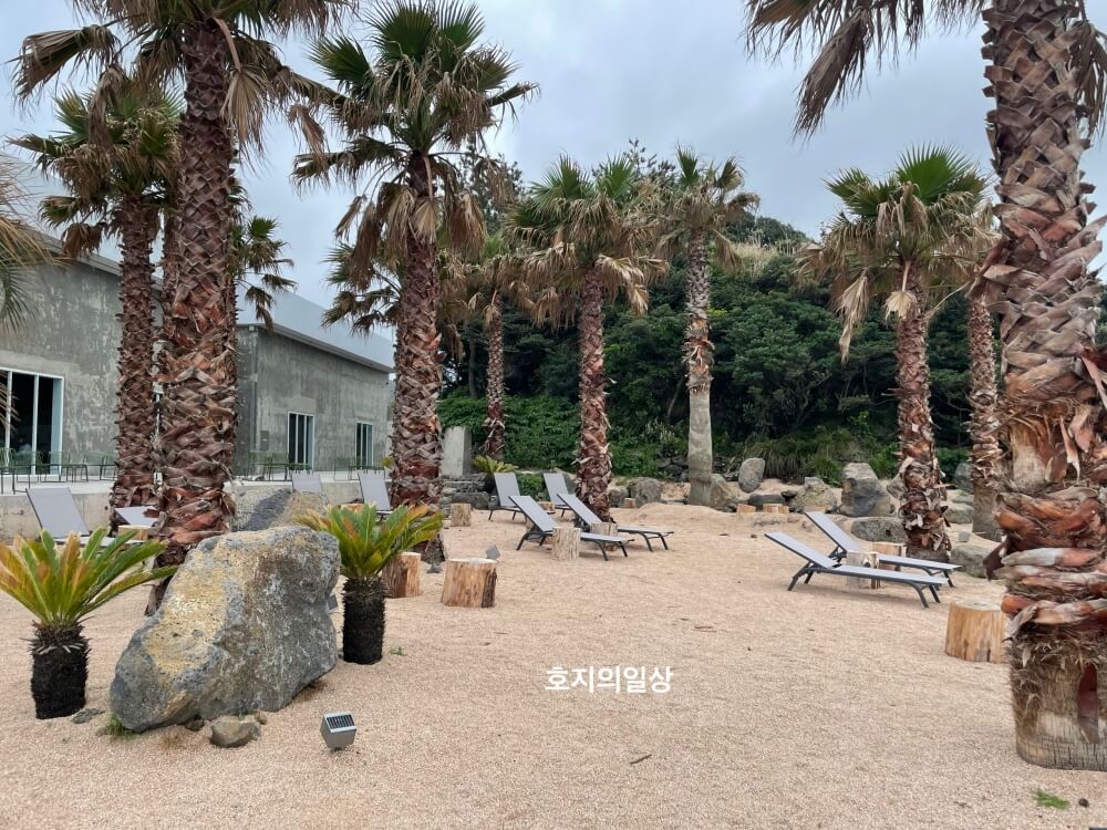 제주 구좌 카페 맛집 꼬스뗀뇨 - 야외 좌석