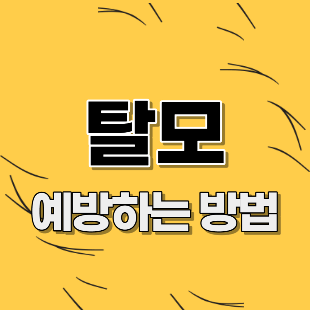 탈모 예방법