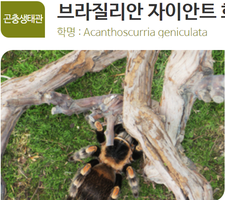 아산 생태곤충원