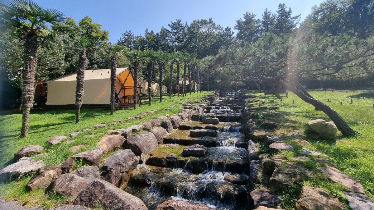 장흥 하늘빛수목원 튤립축제