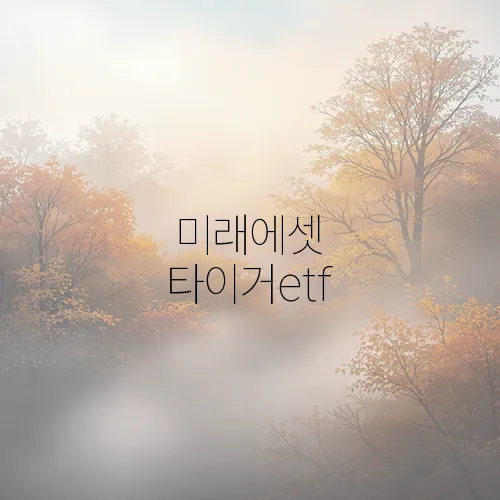 미래에셋 타이거etf