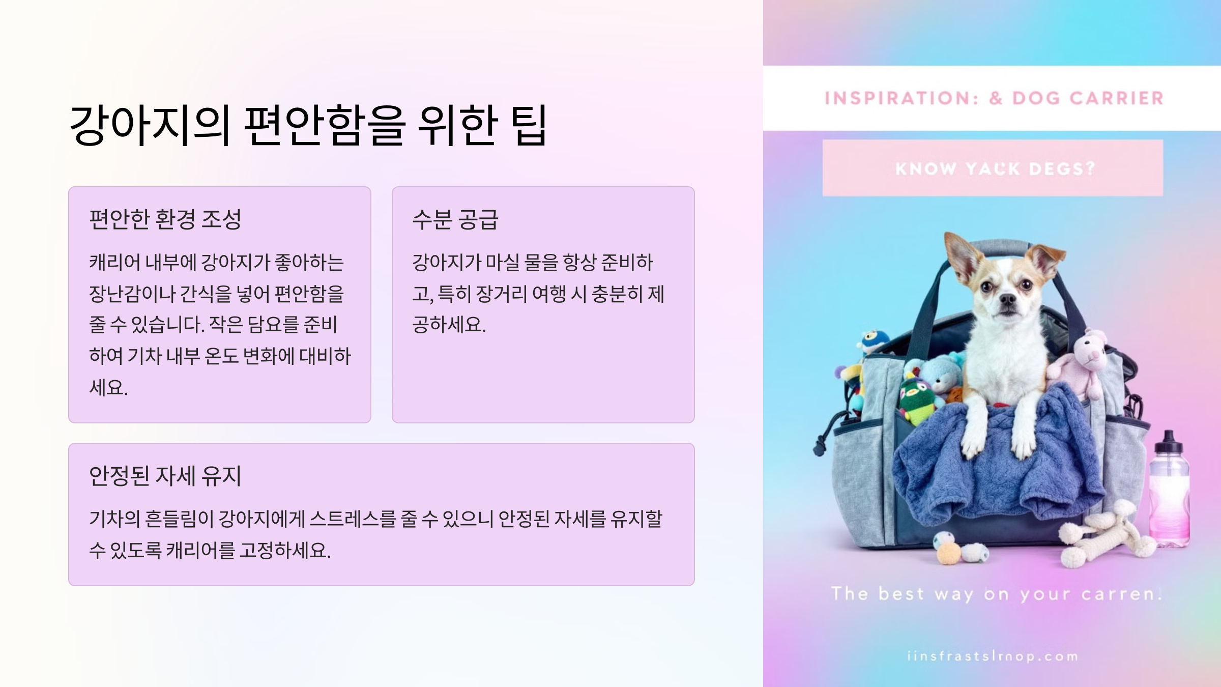 강아지의 편안함을 위한 팁