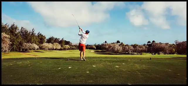 파크골프 용어 정리 (+ 해설 )