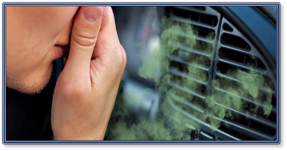 자동차 에어컨 에바크리닝 필요한 이유 2